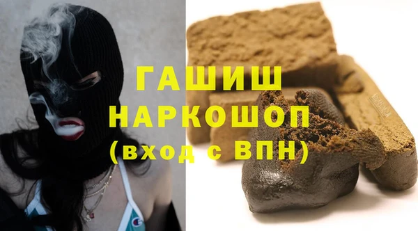 ГАЛЛЮЦИНОГЕННЫЕ ГРИБЫ Дмитриев