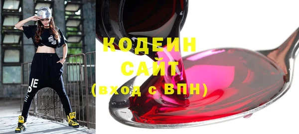 ГАЛЛЮЦИНОГЕННЫЕ ГРИБЫ Дмитриев