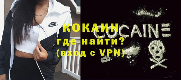apvp Гусев