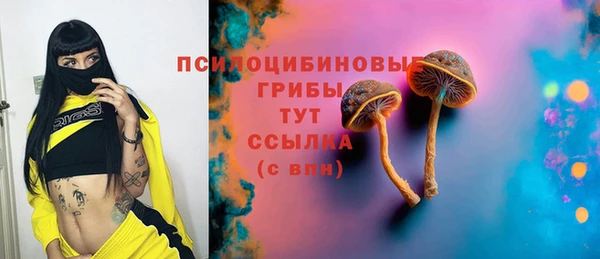 соль ск Гусь-Хрустальный