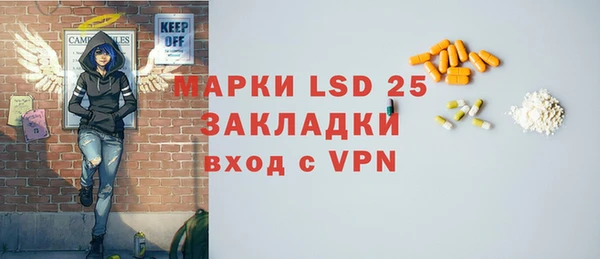 ГАЛЛЮЦИНОГЕННЫЕ ГРИБЫ Дмитриев