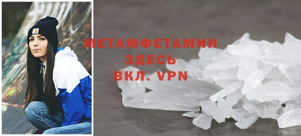 ГАЛЛЮЦИНОГЕННЫЕ ГРИБЫ Дмитриев
