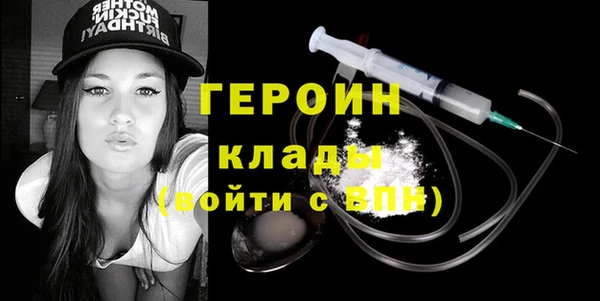 ГАЛЛЮЦИНОГЕННЫЕ ГРИБЫ Дмитриев