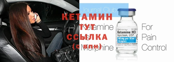 ГАЛЛЮЦИНОГЕННЫЕ ГРИБЫ Дмитриев