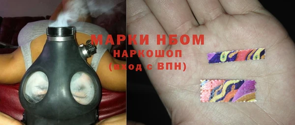 ГАЛЛЮЦИНОГЕННЫЕ ГРИБЫ Дмитриев