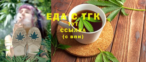 ГАЛЛЮЦИНОГЕННЫЕ ГРИБЫ Дмитриев