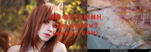 ГАЛЛЮЦИНОГЕННЫЕ ГРИБЫ Дмитриев